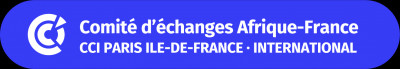 Comité d'Echanges Afrique France (CEAF)