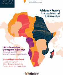 RAPPORT CIAN 2022 - LES ENTREPRISES INTERNATIONALES EN AFRIQUE