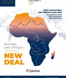 RAPPORT Cian 2023 - Les entreprises internationales en Afrique