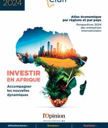RAPPORT Cian 2024 - Les entreprises internationales en Afrique
