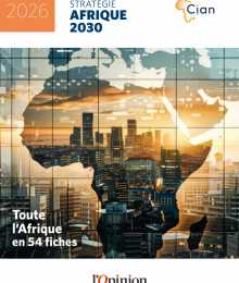 Rapport Cian 2026 - Toute l'Afrique en 54 fiches