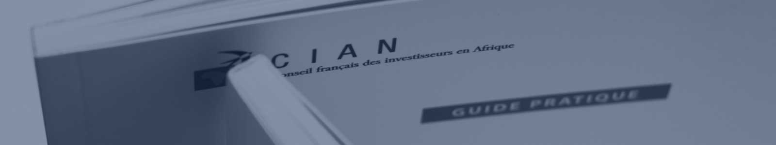 Guides Pratiques et Cahiers du Cian