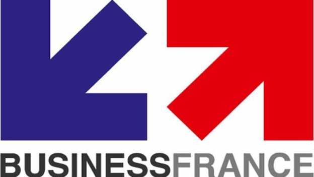 BUSINESS FRANCE