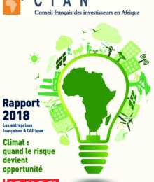 Rapport CIAN 2018 - Les entreprises internationales en Afrique
