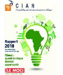 Rapport CIAN 2018 - Les entreprises internationales en Afrique
