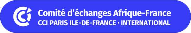 Comité d'Echanges Afrique France (CEAF)
